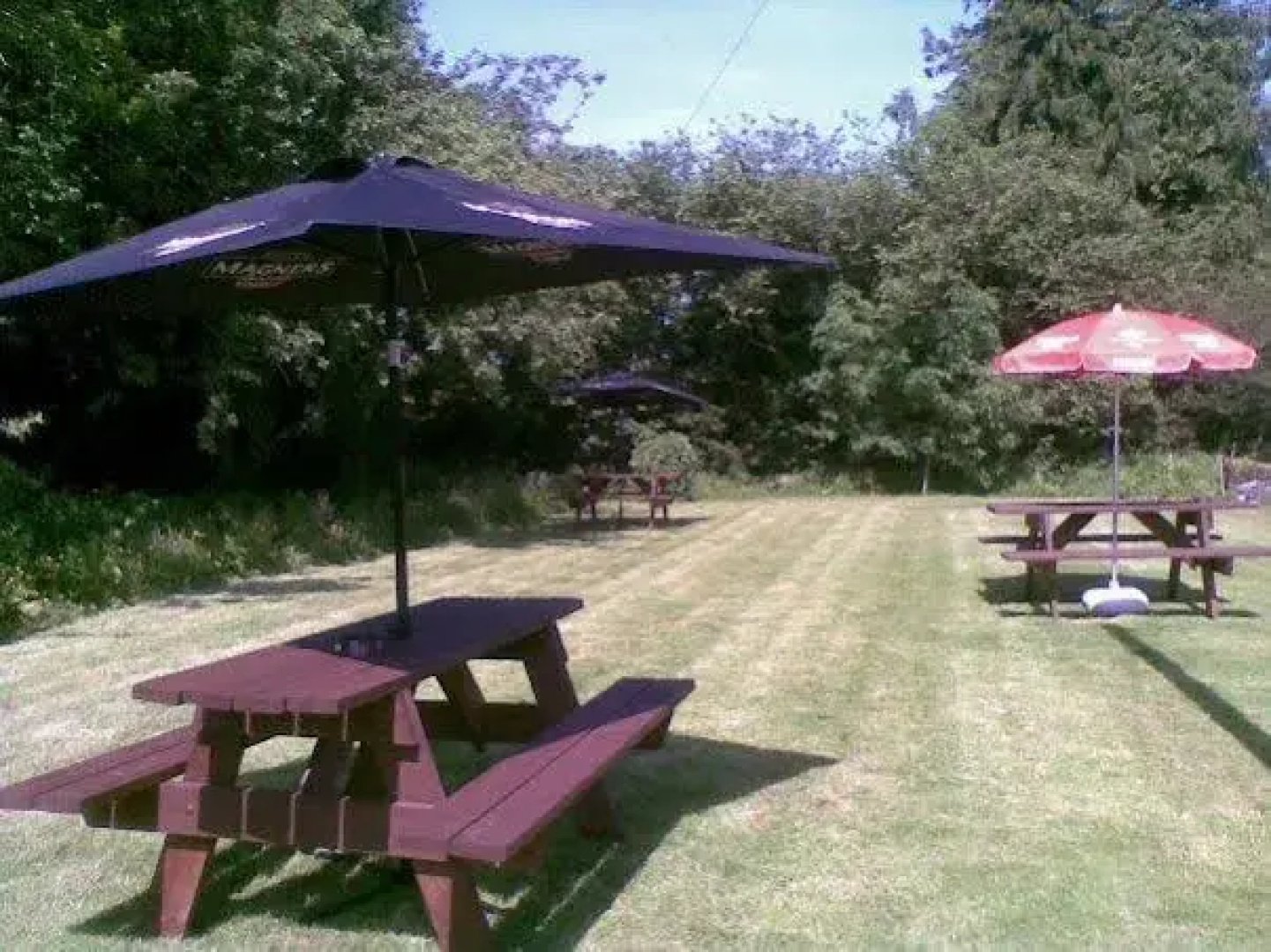 Emlyn Arms