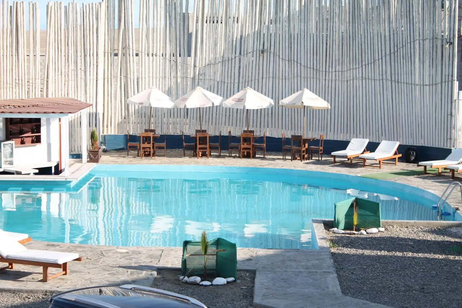 Los Delfines de Chicama