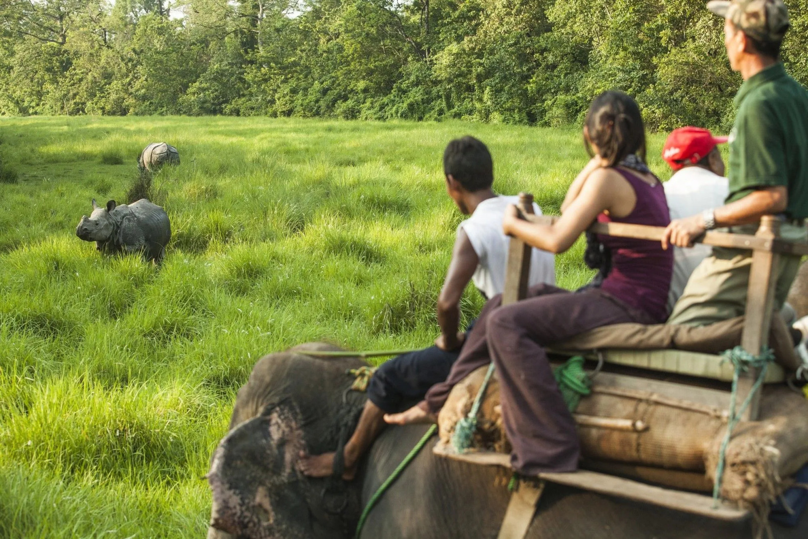 Green Mansions Jungle Resort