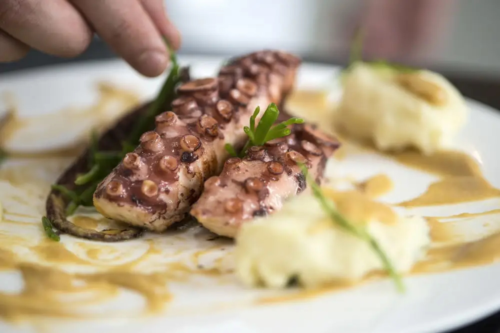 Domus Plinii 1792 Suites