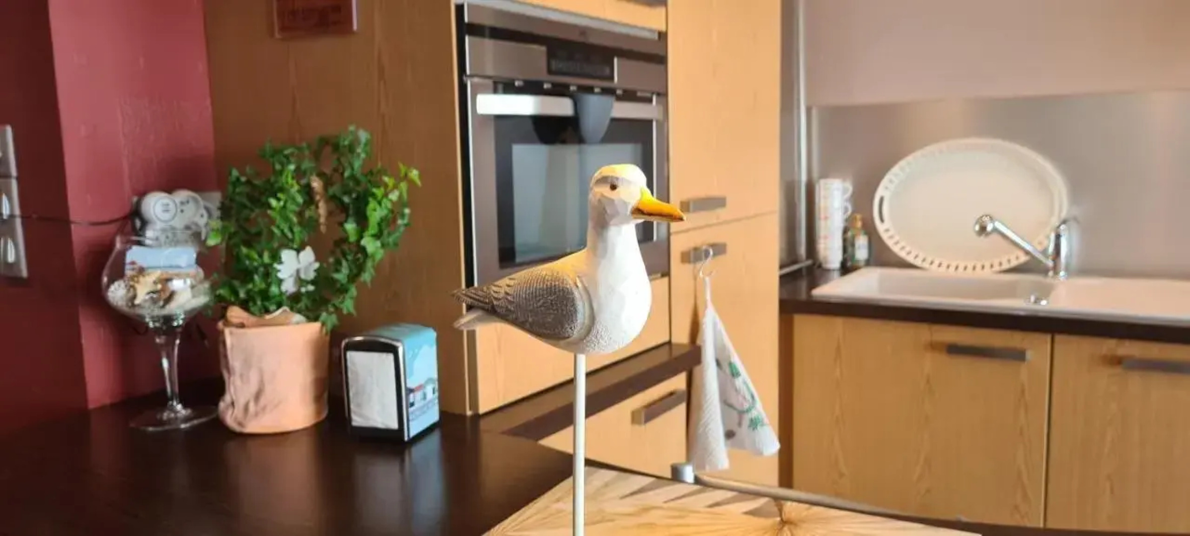 Studio les Trois Etoiles de Mer