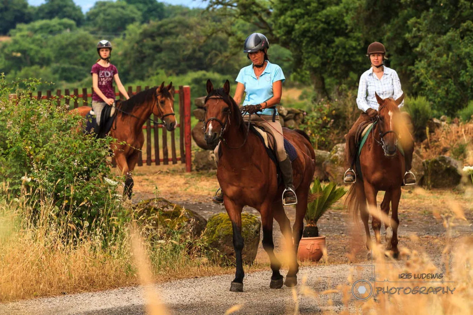 Country Hotel Mandra Edera