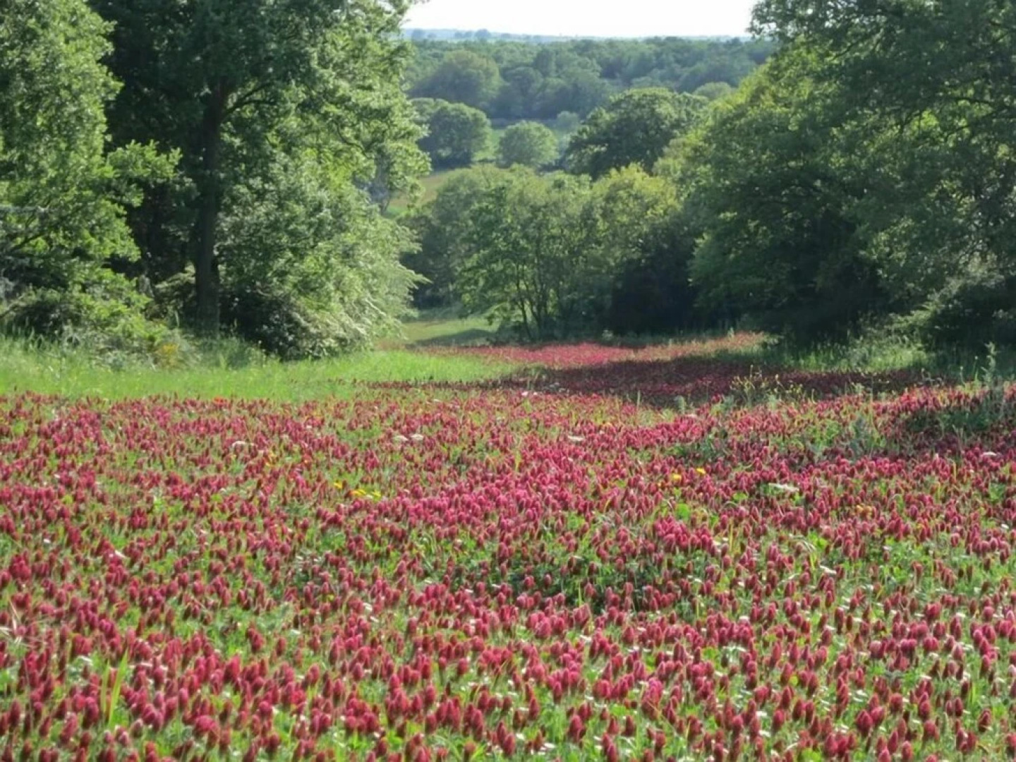 BB Govinda Shanty House