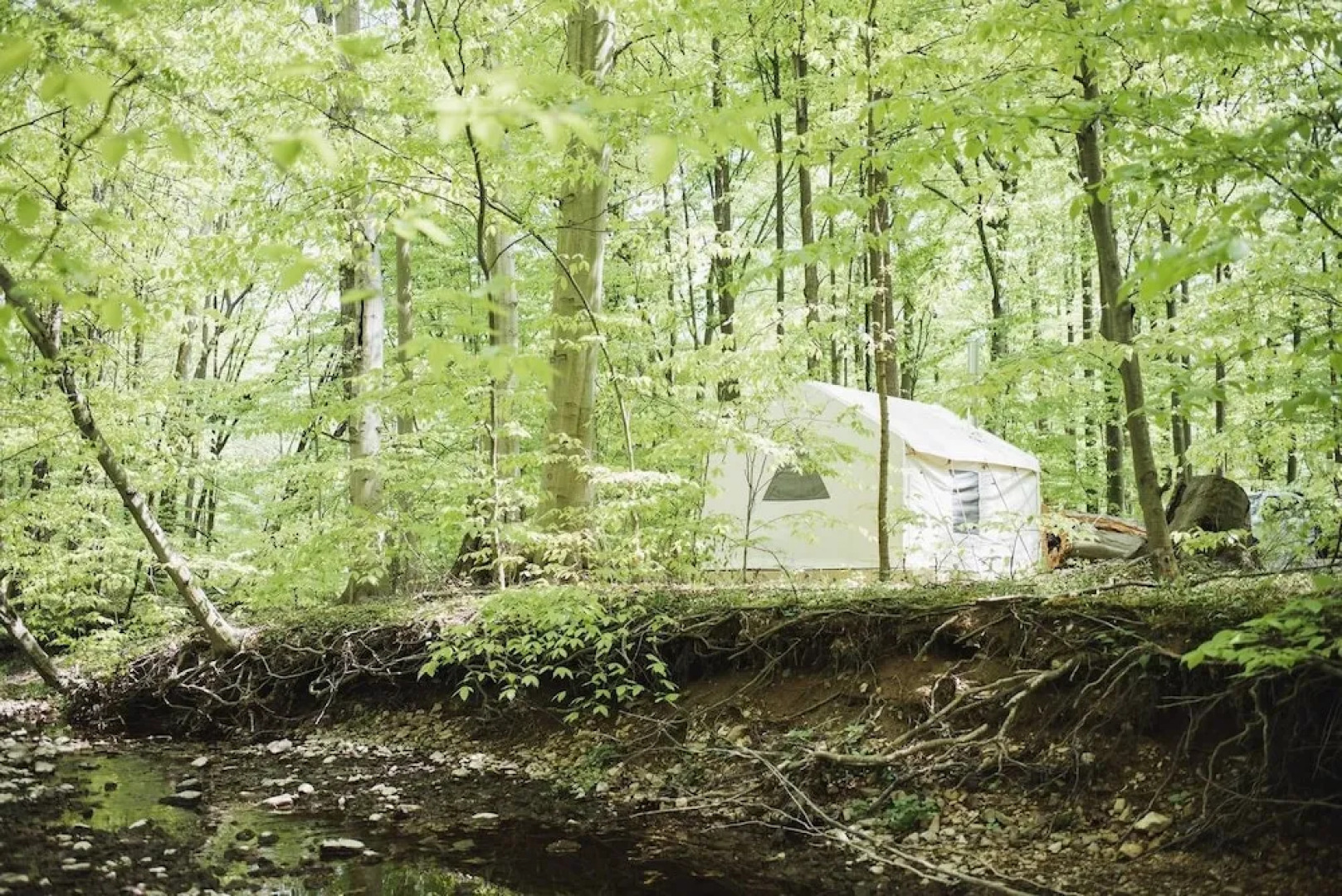 Tentrr - Creekside Woods Getaway