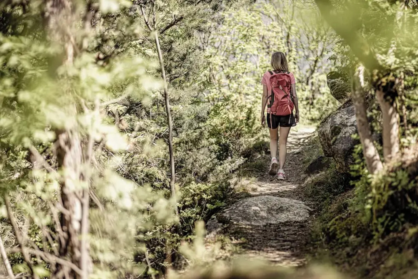 Amolaris Garden Loges & Guesthouse