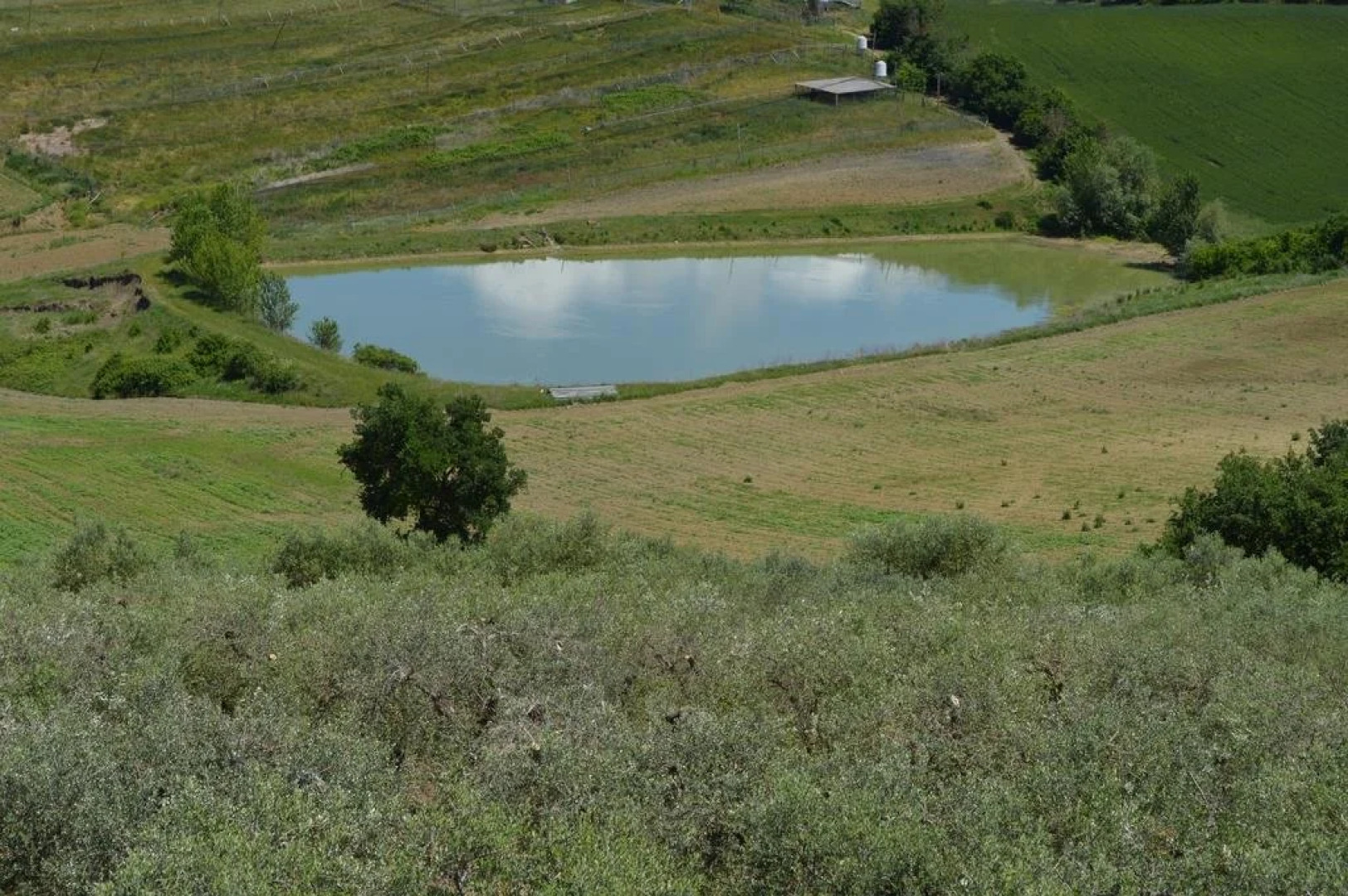 B&B La Casa Fra Gli Olivi