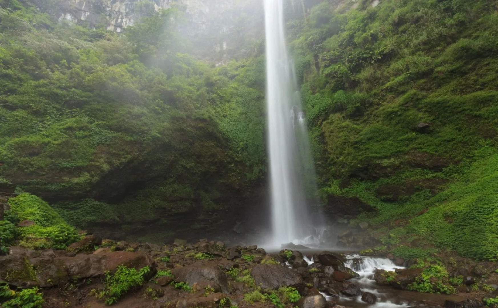 Villa Edelweiss Batu