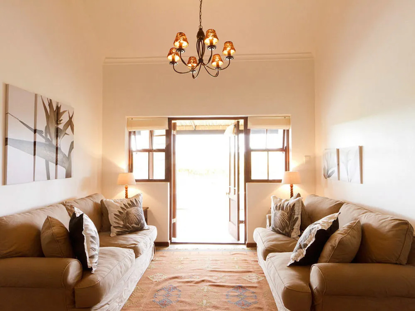 Endless Vineyards at Wildekrans Wine Estate