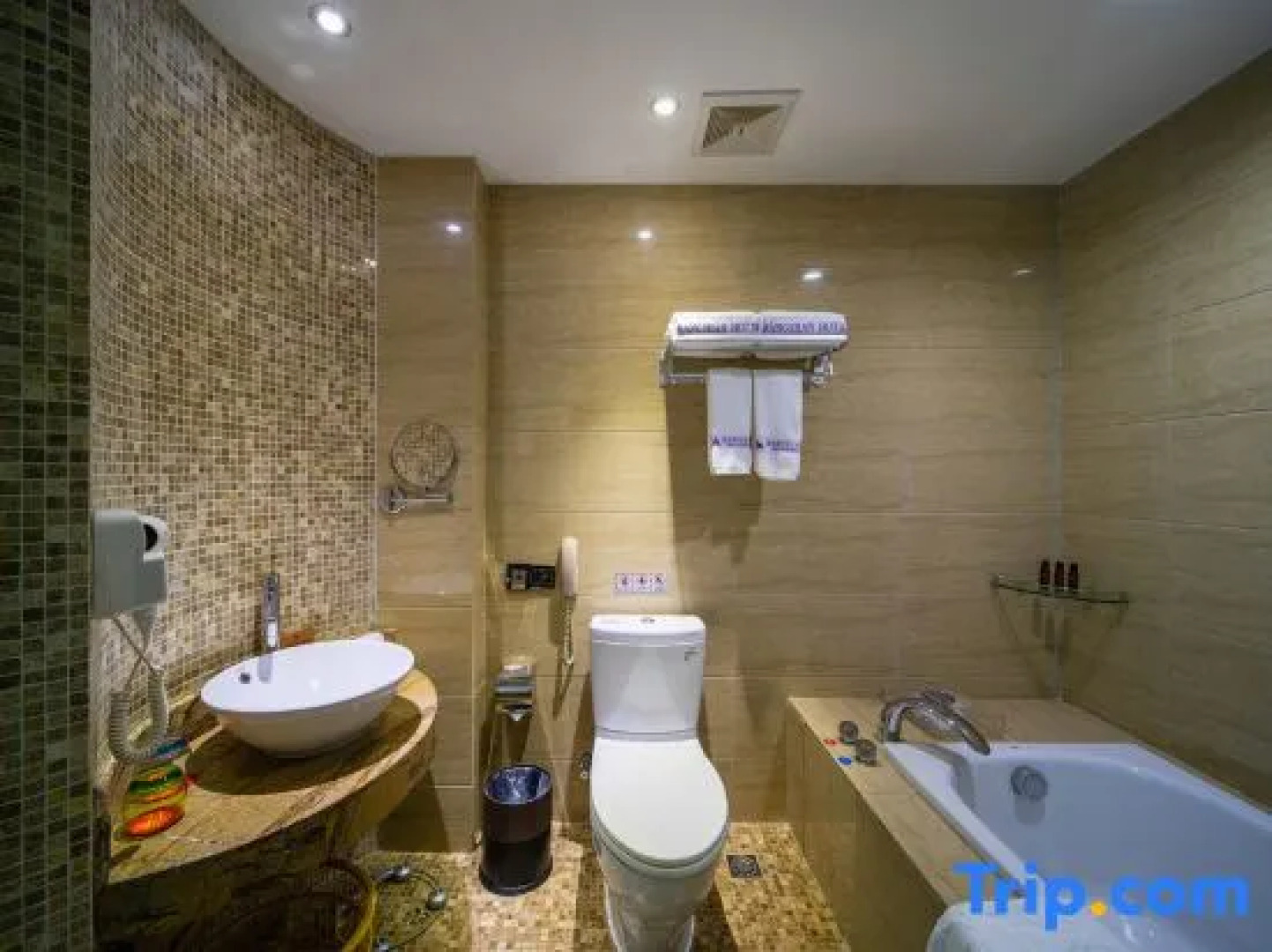 Mangshan Forest Hot Spring Tourism Resort