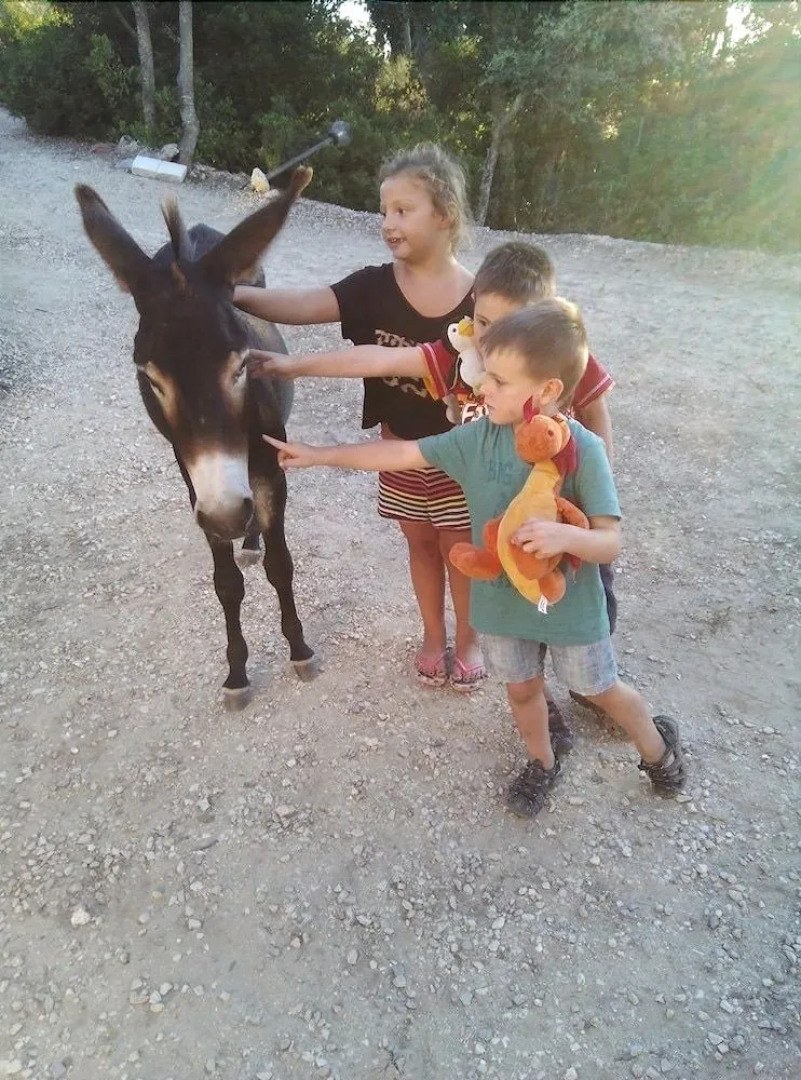 La Valle Dei Corbezzoli