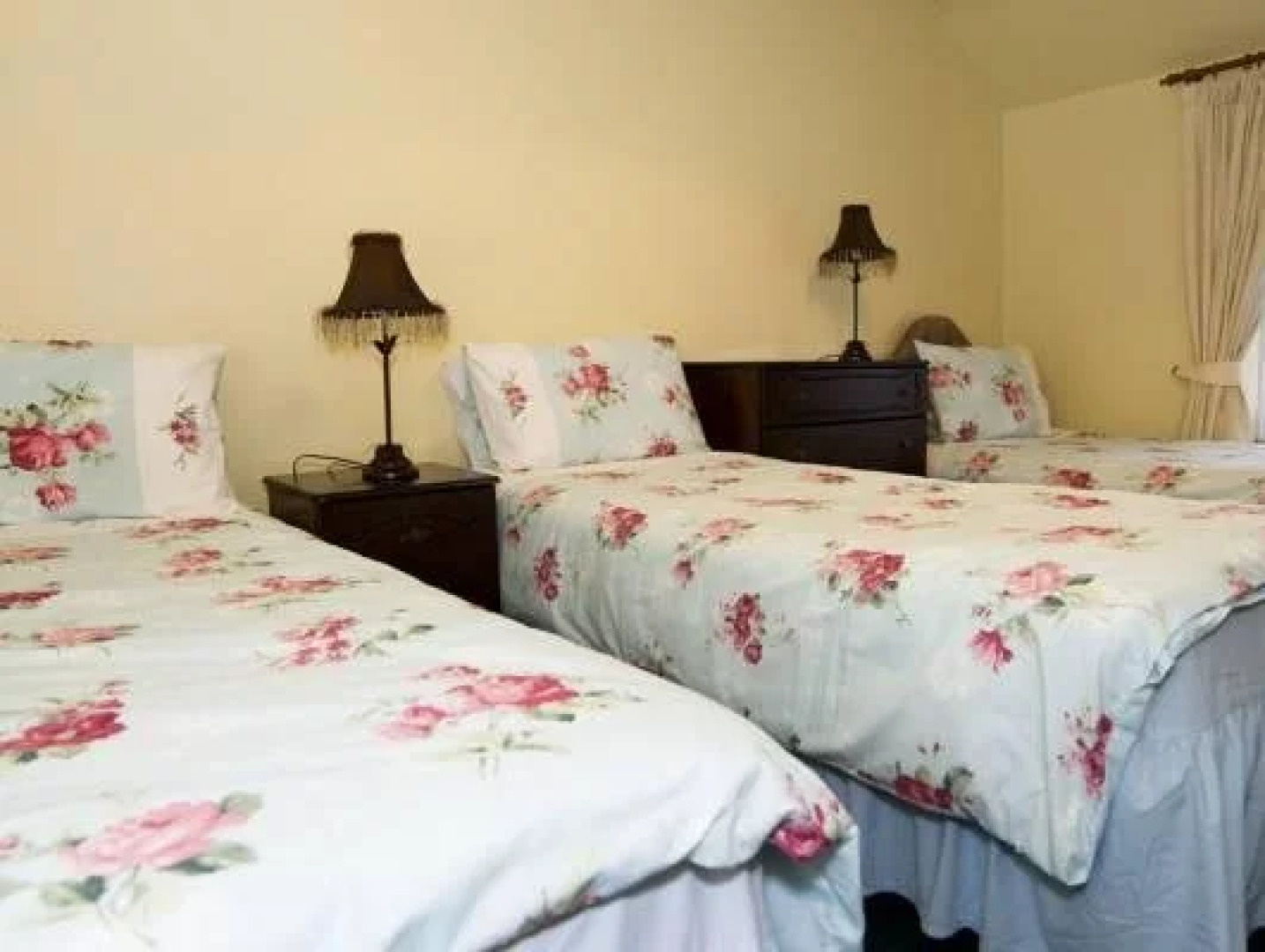 The Cuddly Cow Cosy Barn Studio Campview Farm Stay