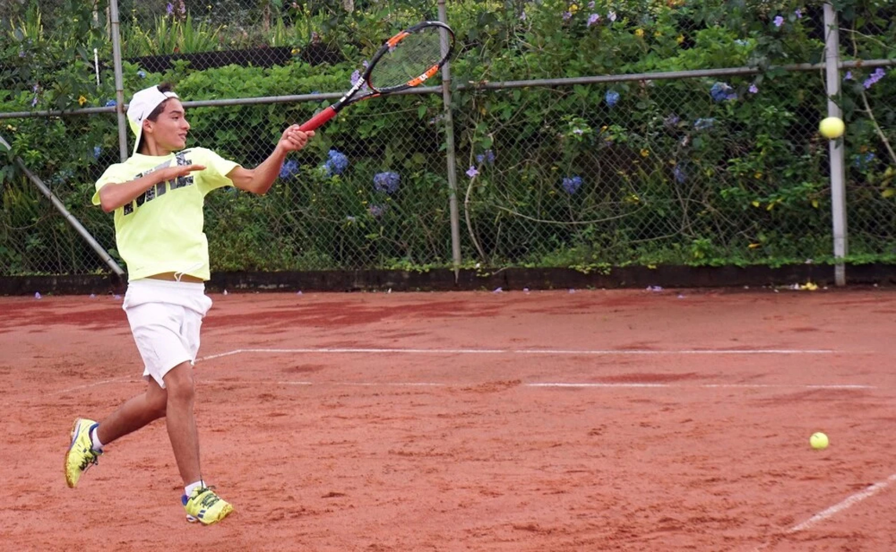 Lucero - Luxury Treehouses