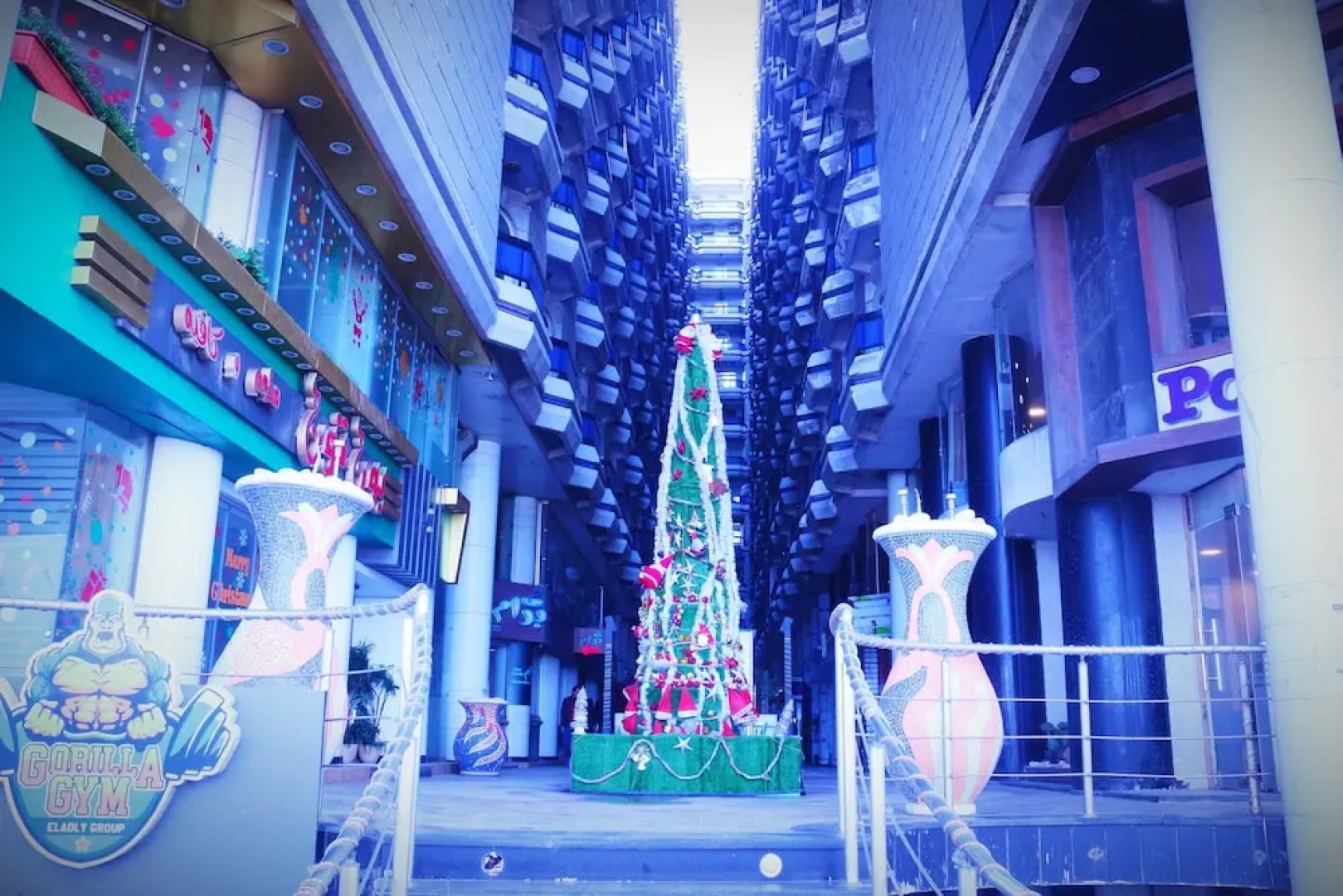 North Coast Princes - Alexandria