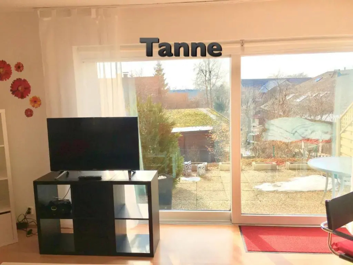 4 moderne FEWO Nowak-Bals zur Auswahl