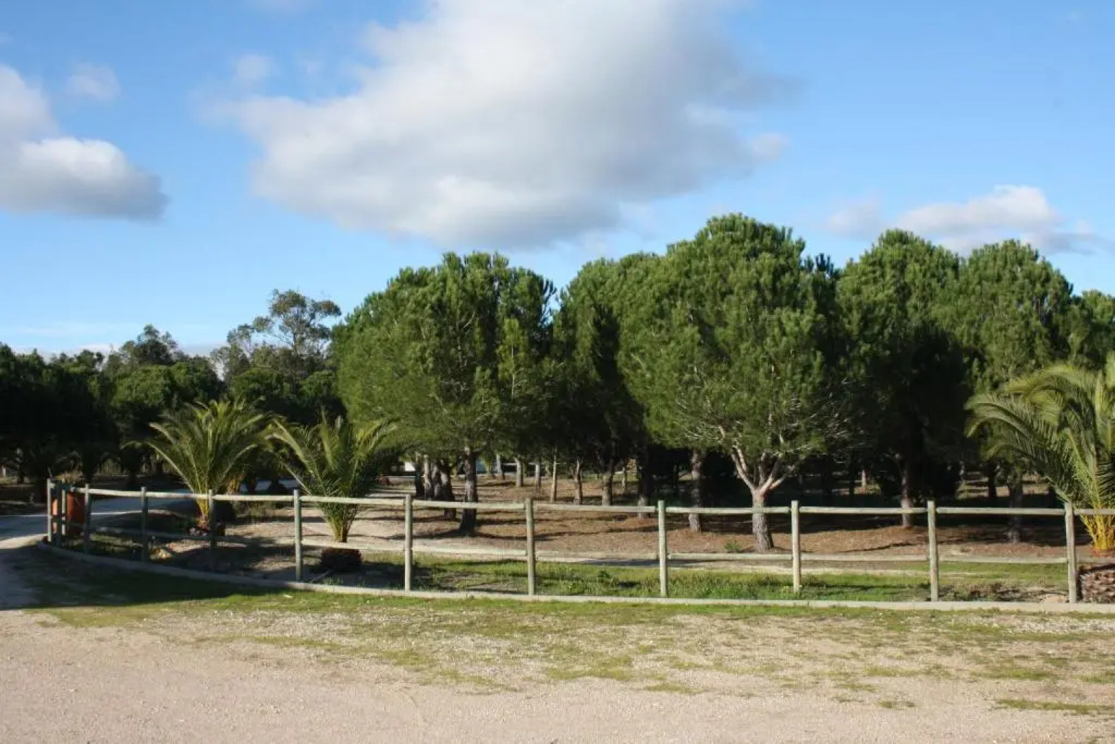 Monte Macário Alojamento Local