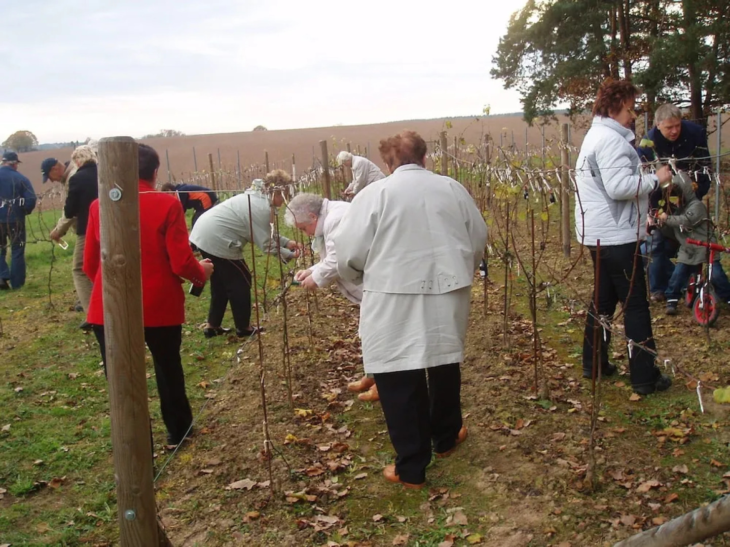 Adler Golf-& Tagungshotel