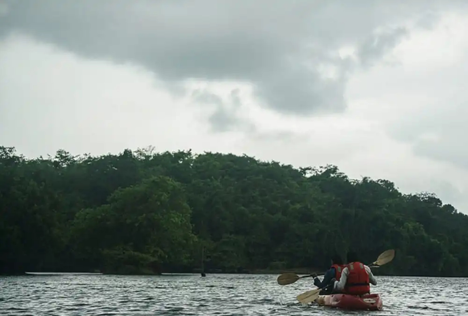 Sterling Nature Trails Kundalika, Kolad