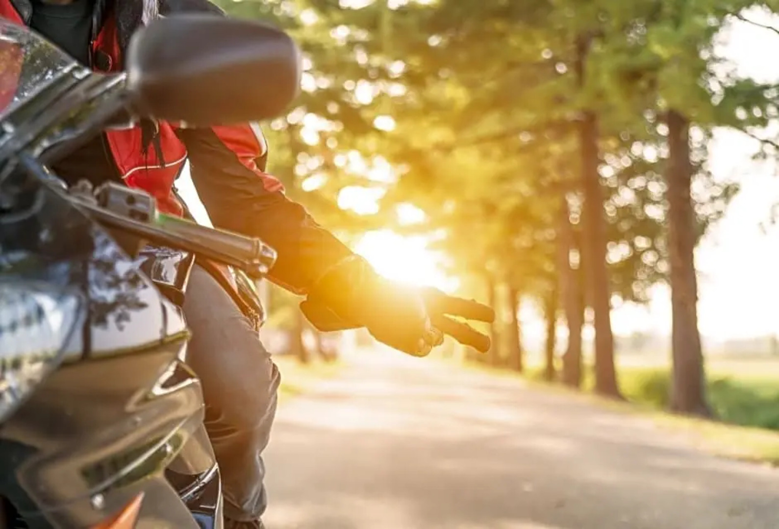 les chênes chez jo et aimé