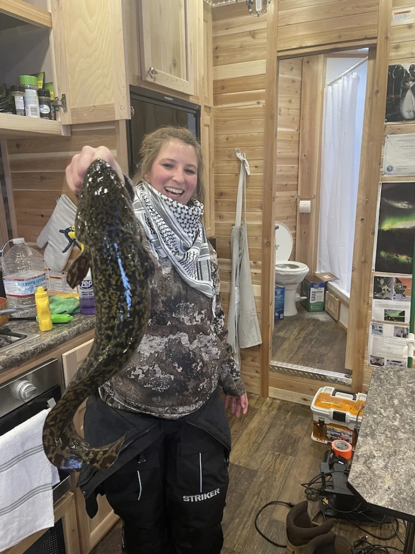 Alaska log cabins on the pond B & B