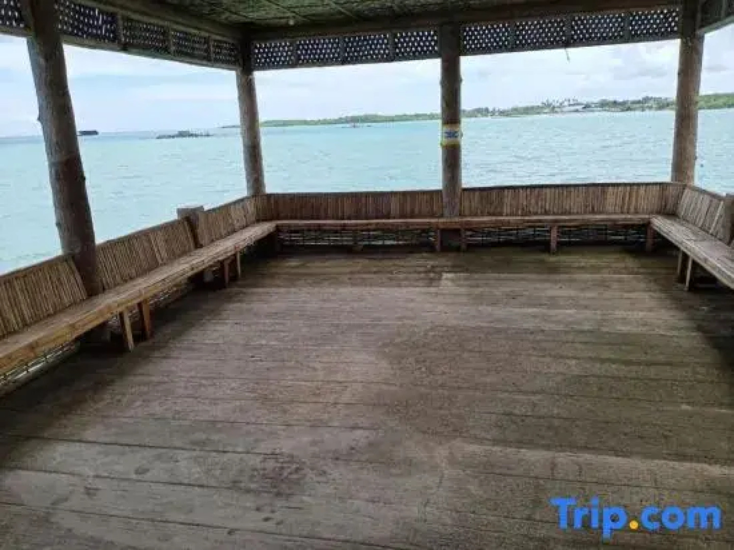 RedDoorz Plus @ Costa Roca Balamban