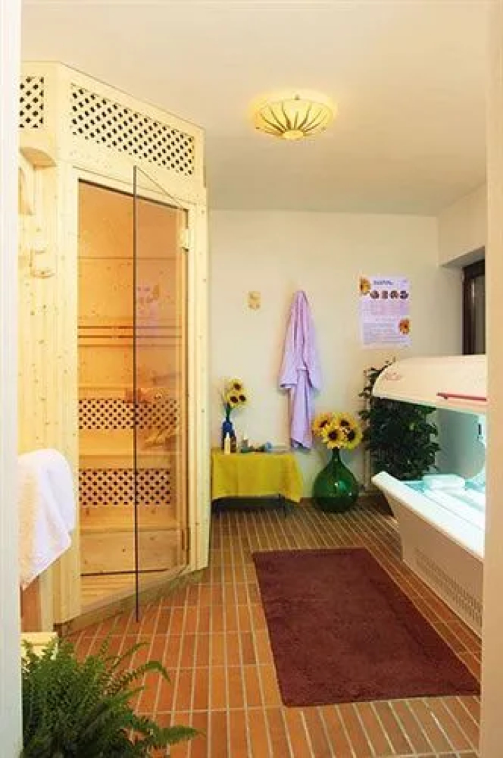 Hotel Weger