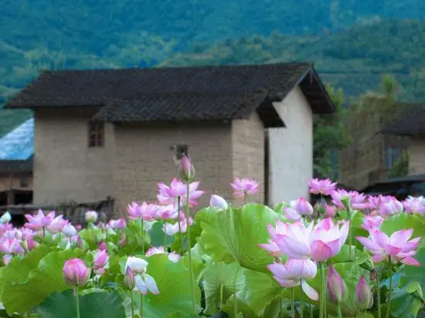 云水谣土楼会所