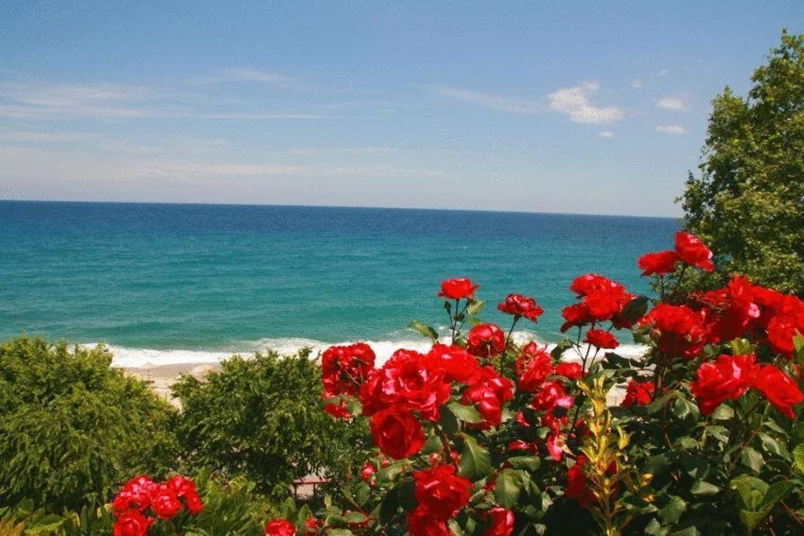 Papa Nero Studios And Apartments