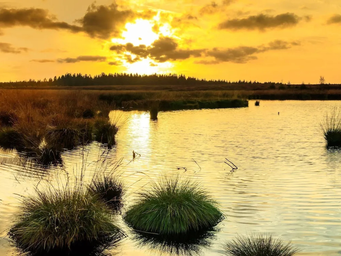 Spacious Apartment in Ondenval with Terrace