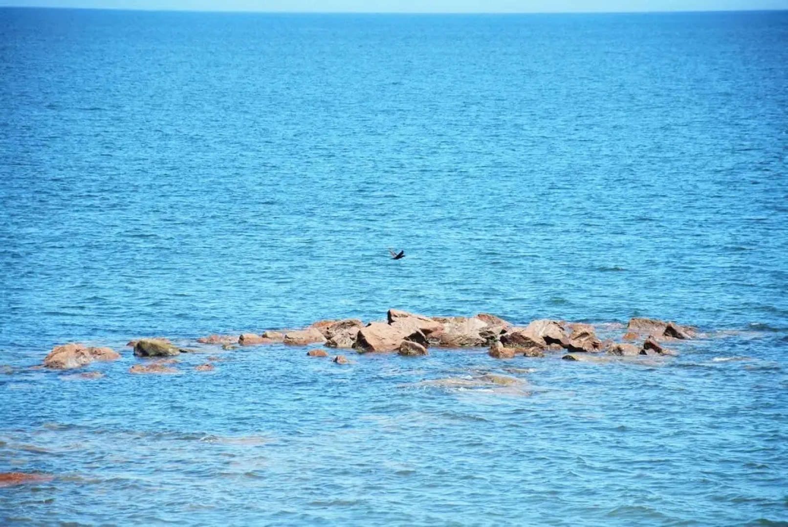 Hôtel de la Plage by Bower Boutique Hotels