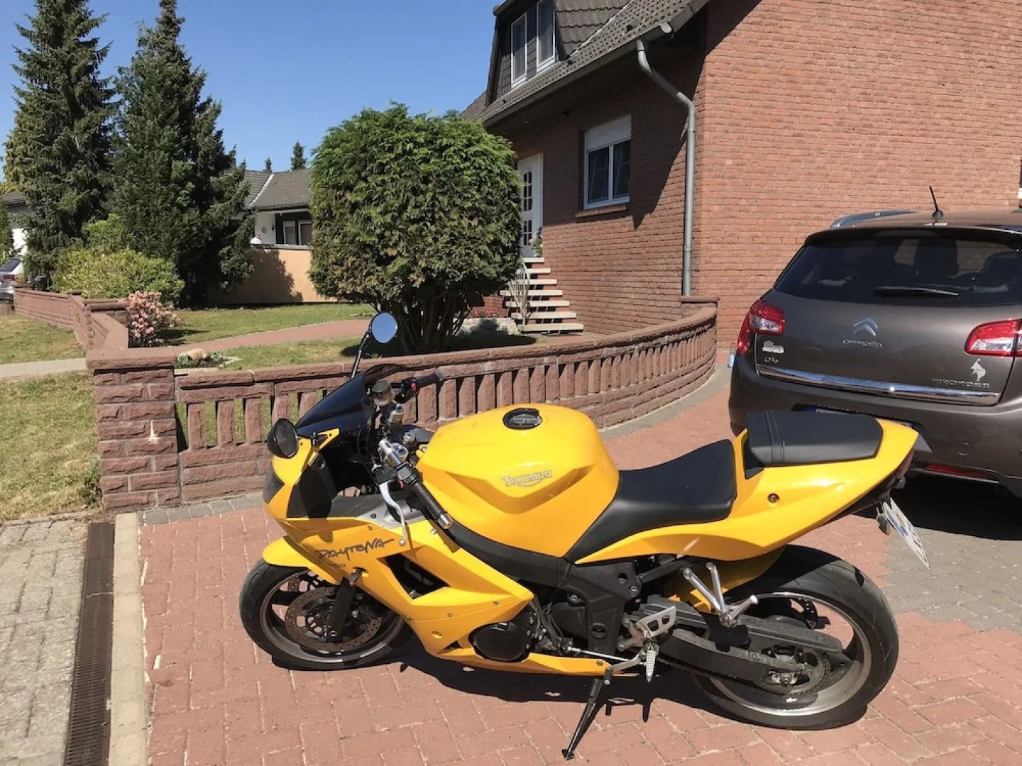 Triumph in der Heide