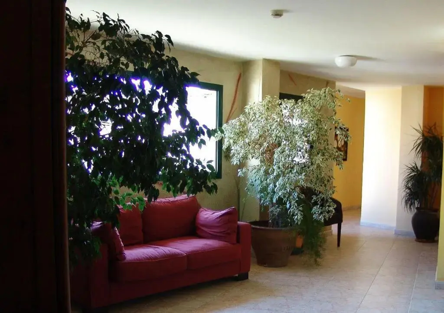 Hotel Pinxo