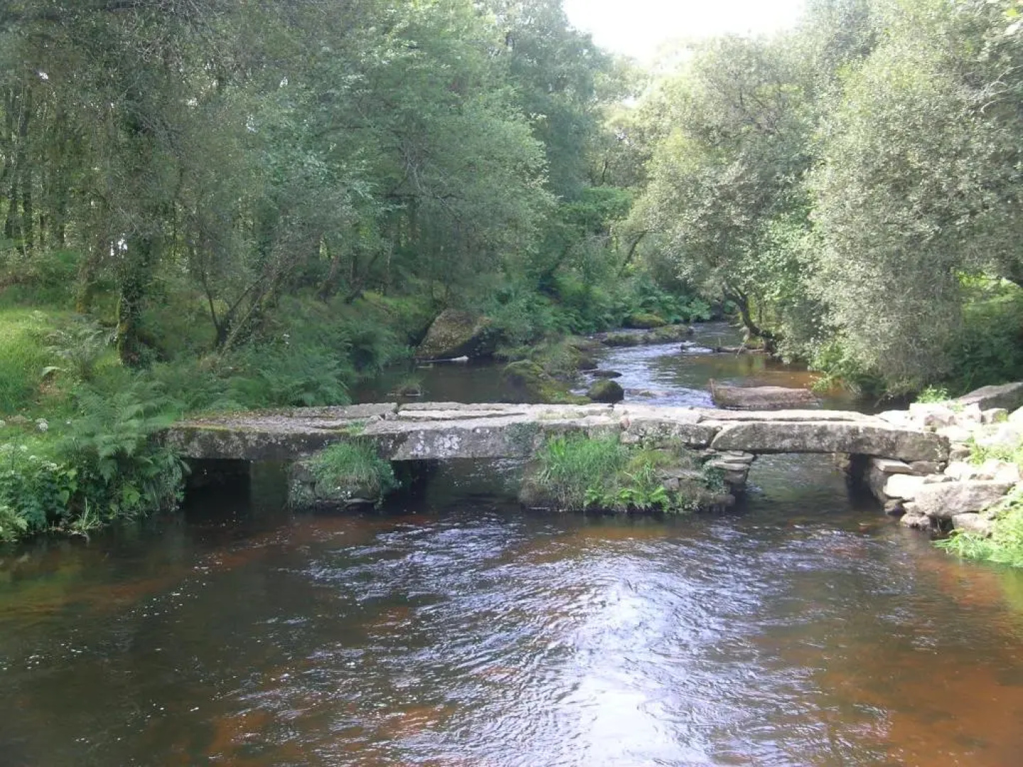 Ti Gwen