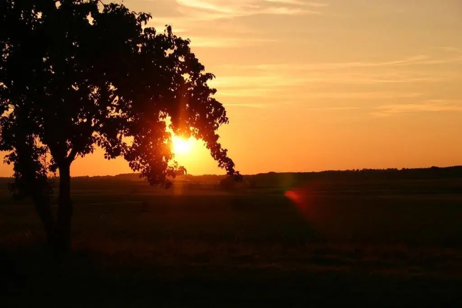 Pension zum Wiesengrund