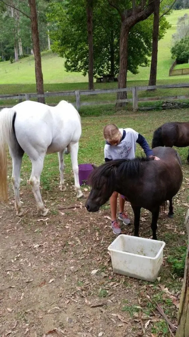 The Tops Organic Retreat