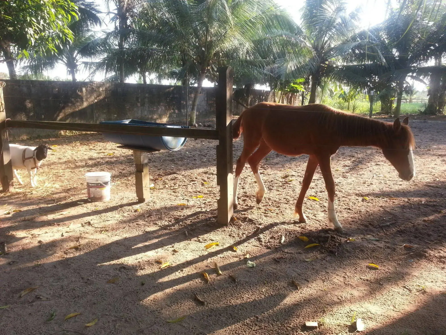 Chácara Santa Bárbara