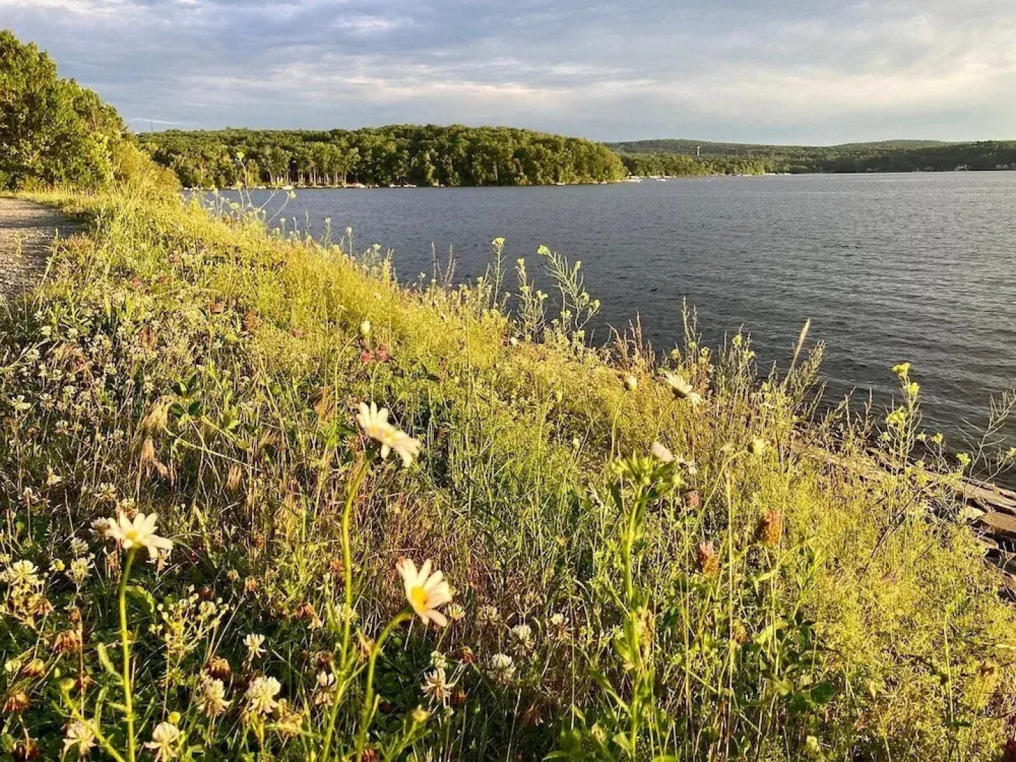 Tanglewood Resort By Vrhost