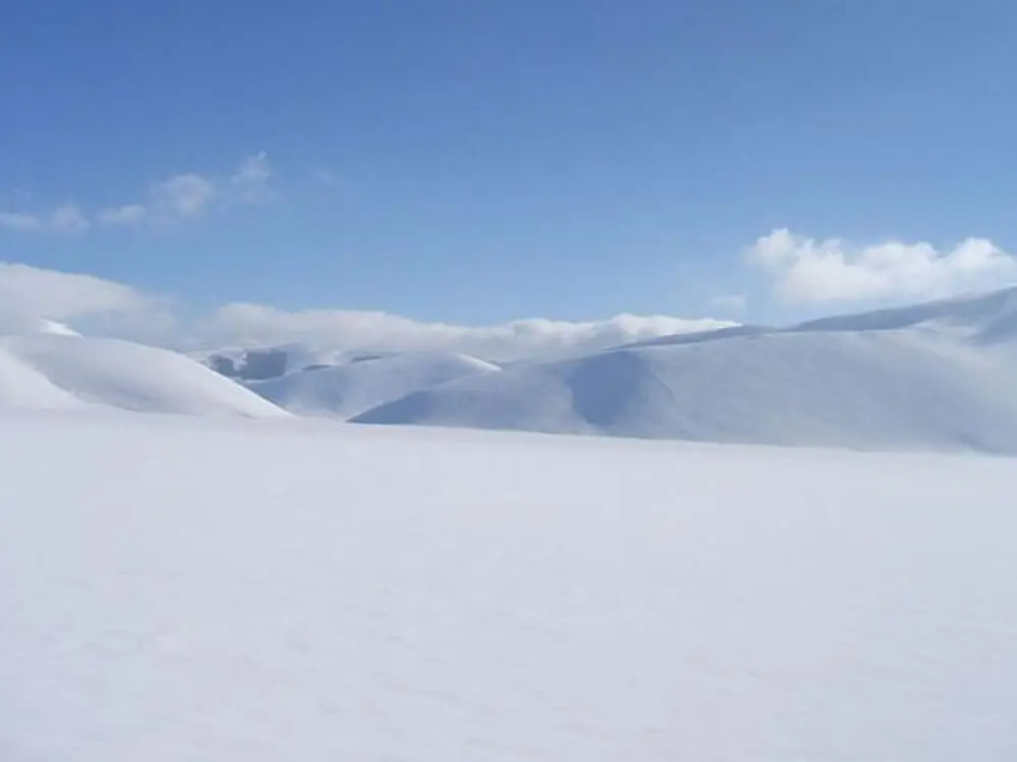 Modern Holiday Home in Imola With Swimming Pool