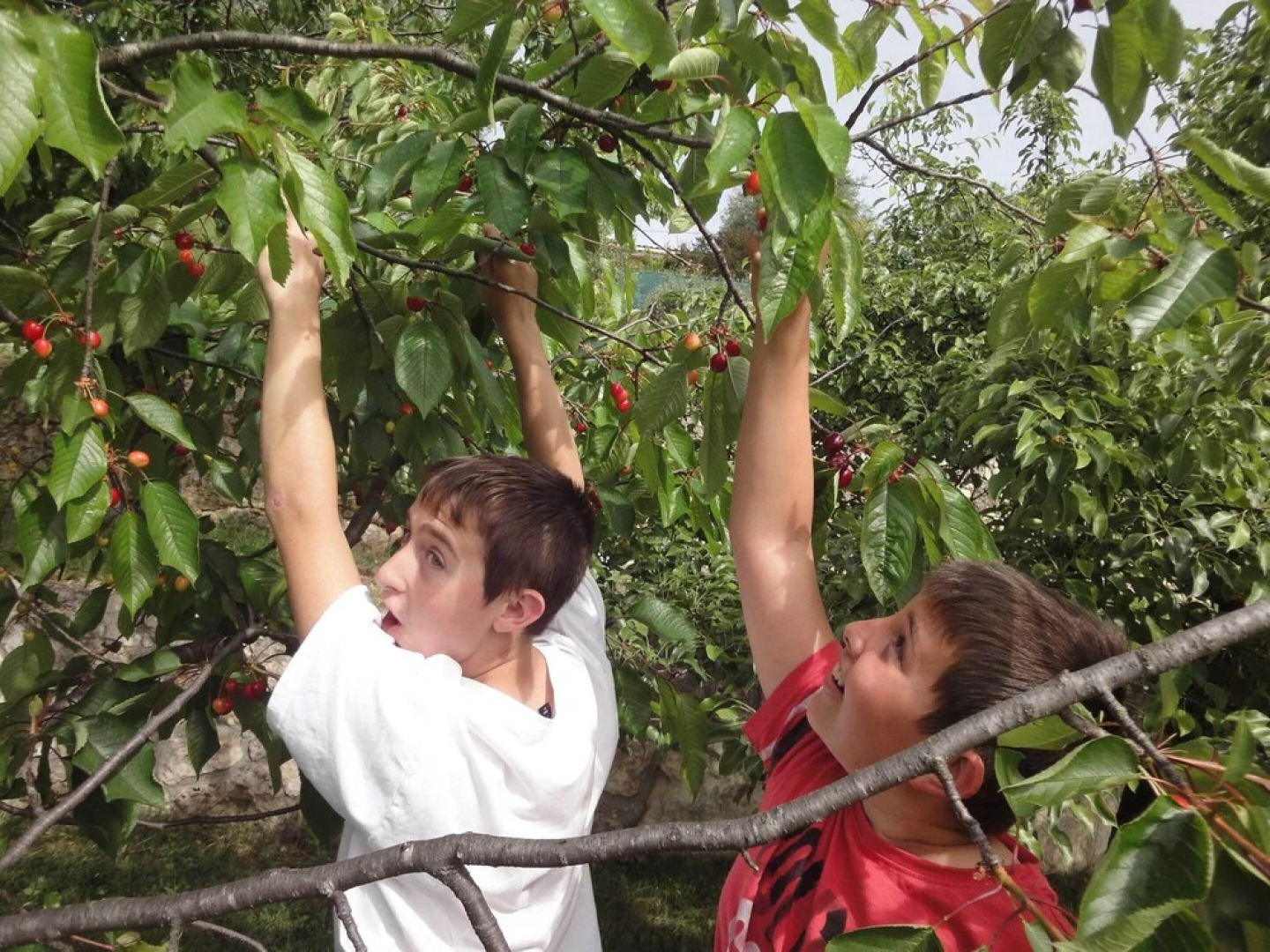 La Maison de Noélie 1er Étage