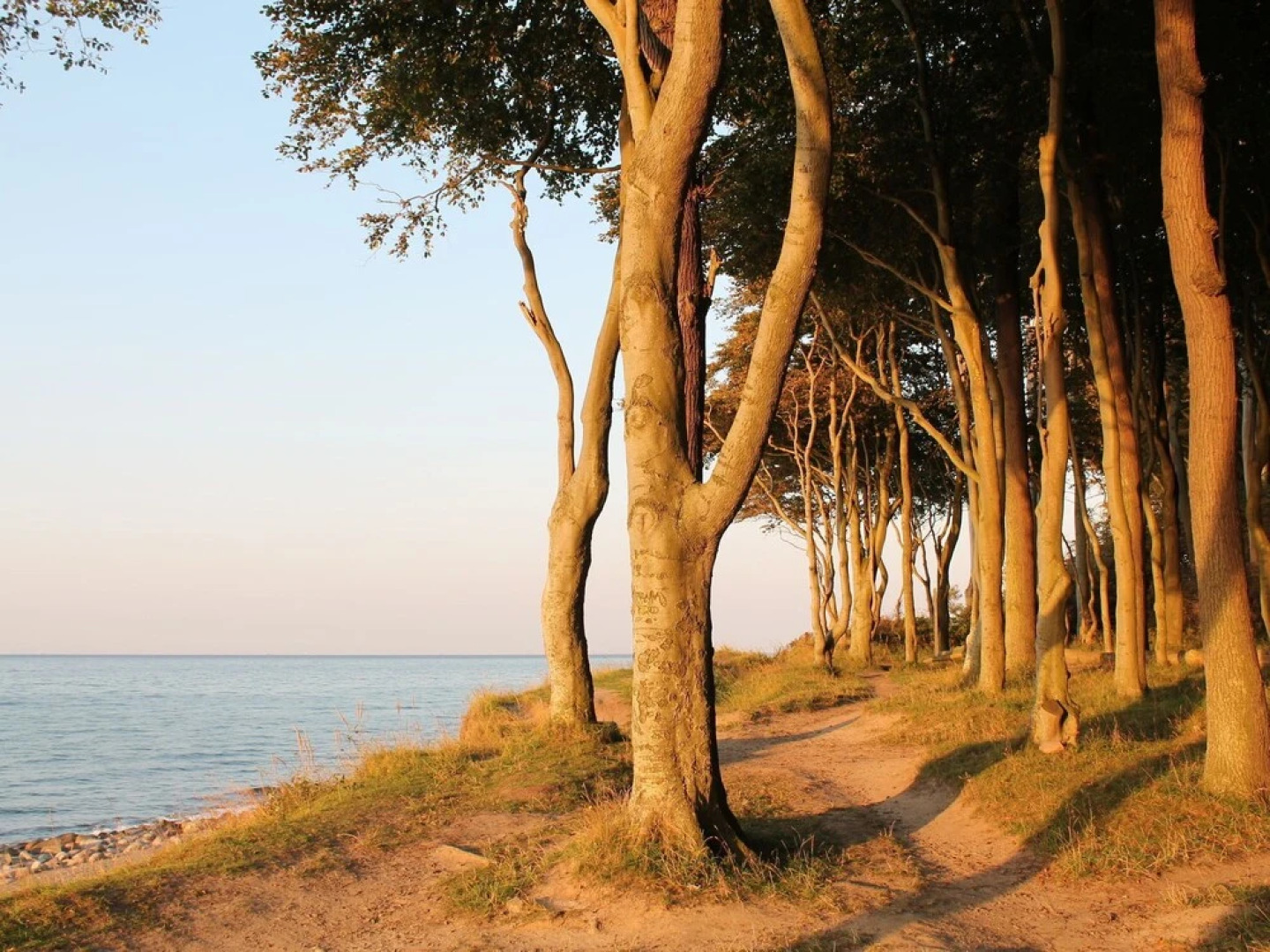 Pretty Apartment With Roofed Terrace Garden Barbecue