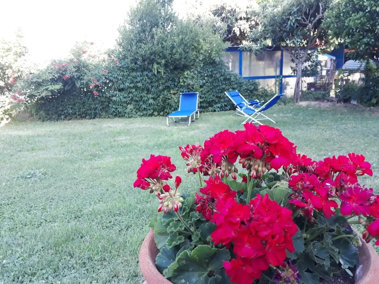 House With one Bedroom in Canosa Sannita, With Wonderful sea View, Enc