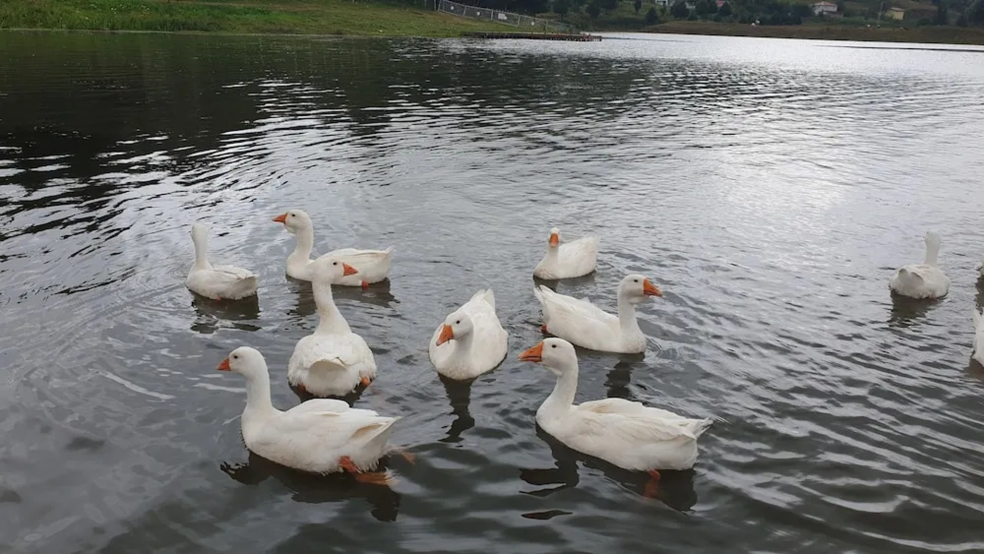 Yildiz Tepe Otel & Pansiyon