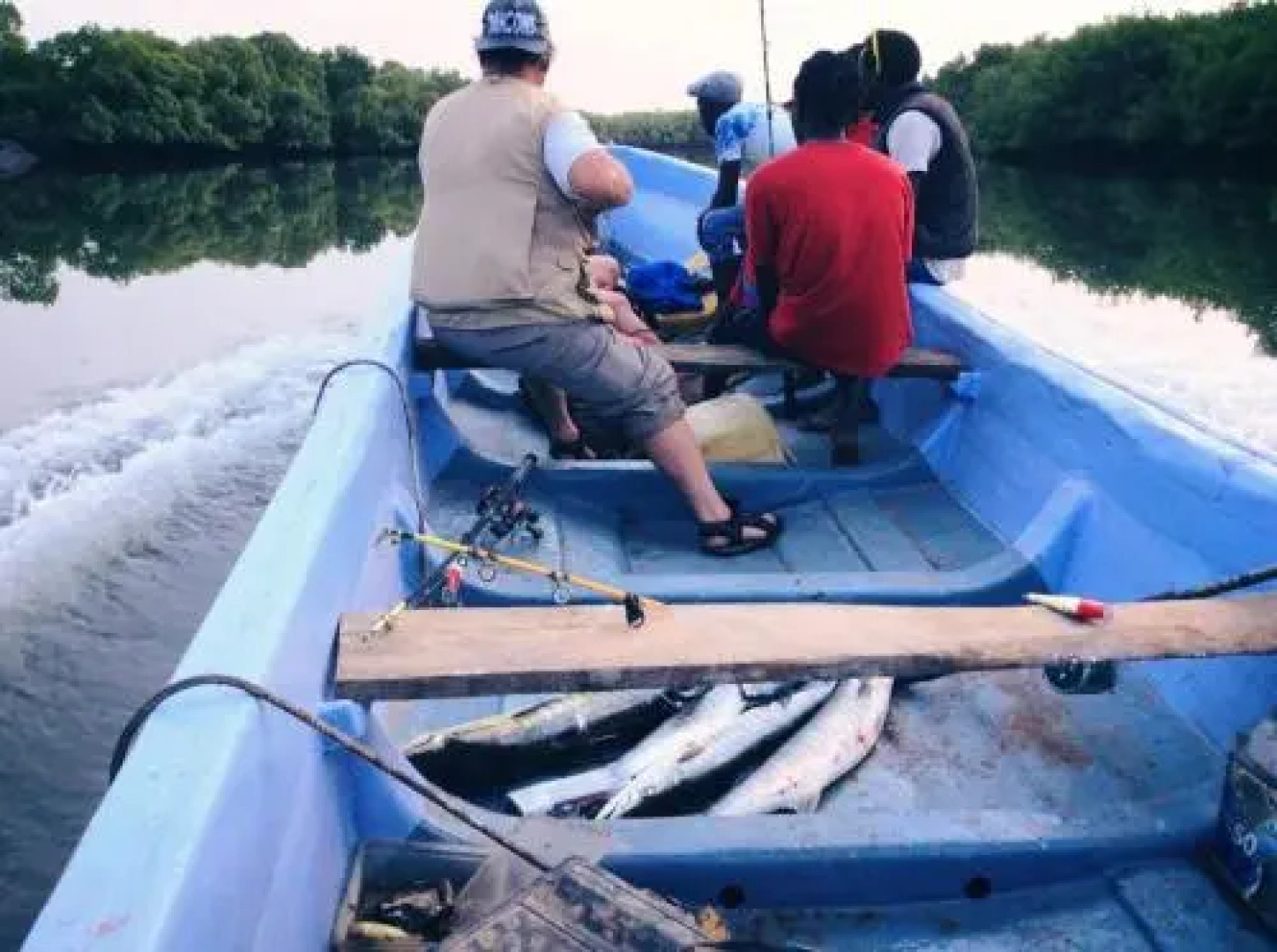 Campement Les Baobabs
