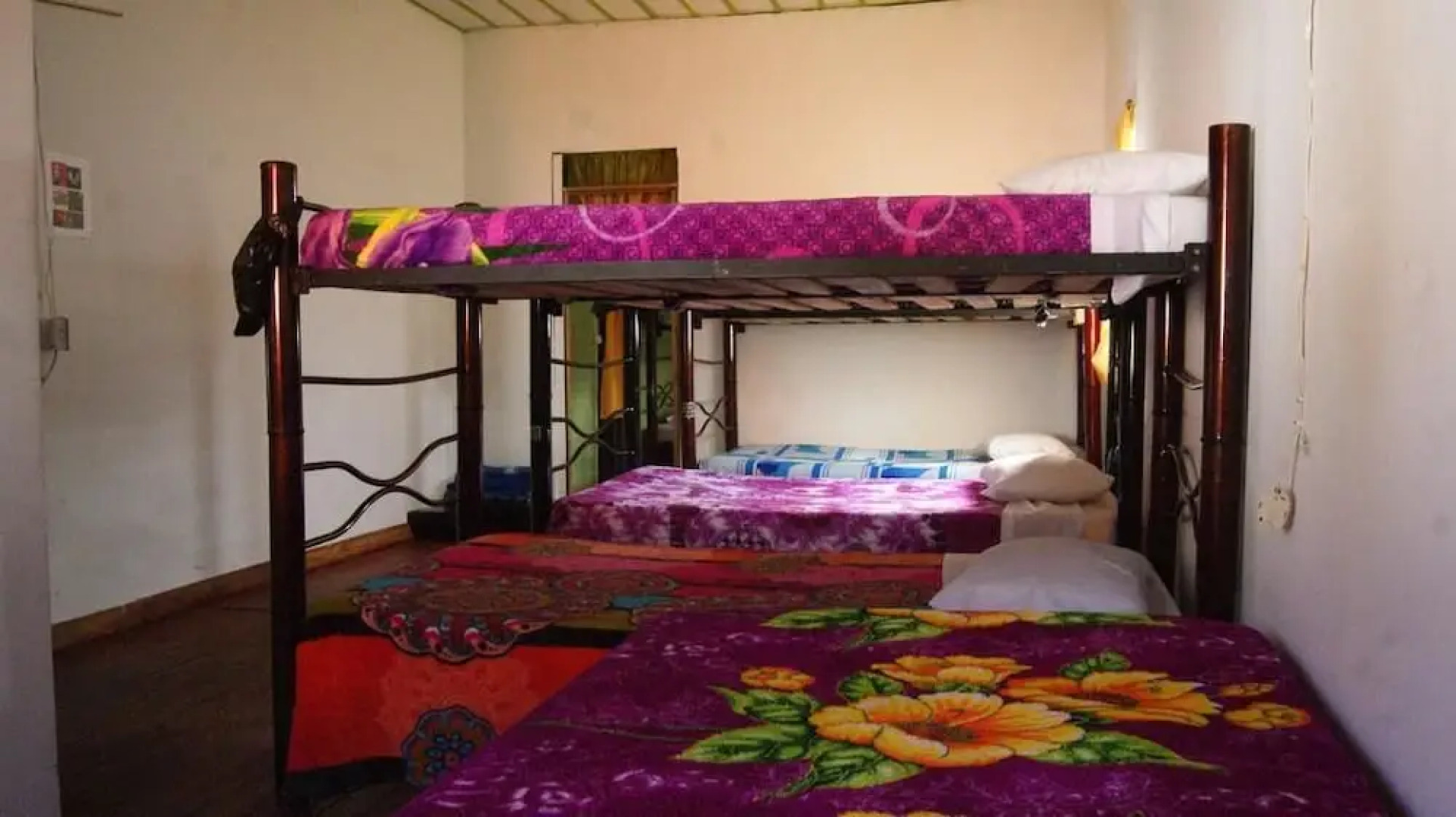 Hostal Casa del Loro - Hostel