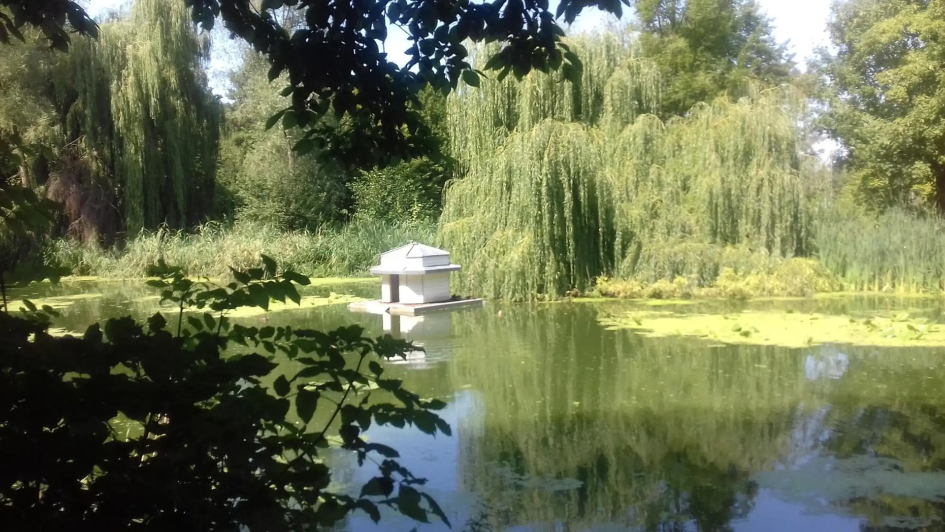 Appartement Altstadt