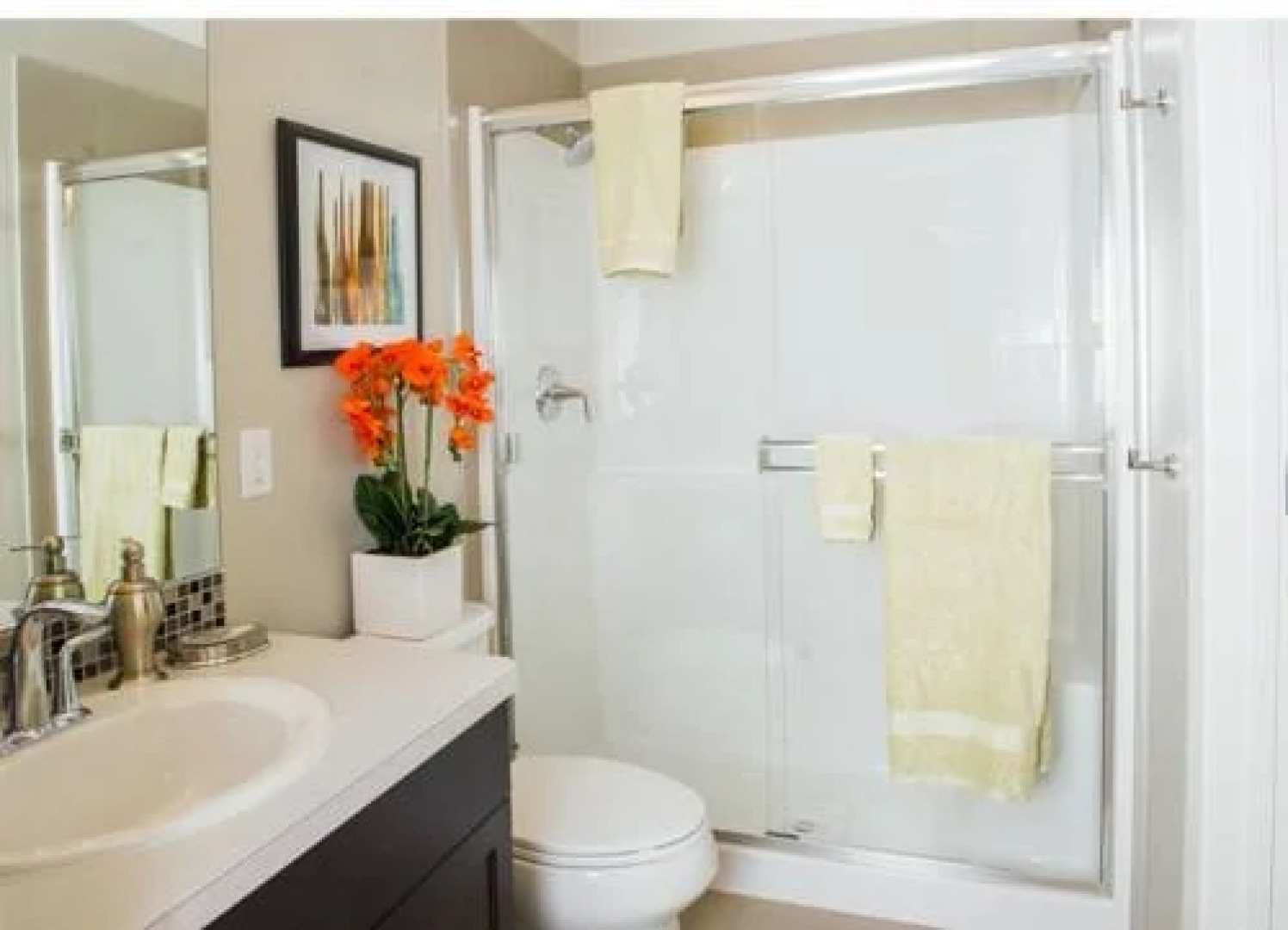 Executive Suites by Roseman - Allura