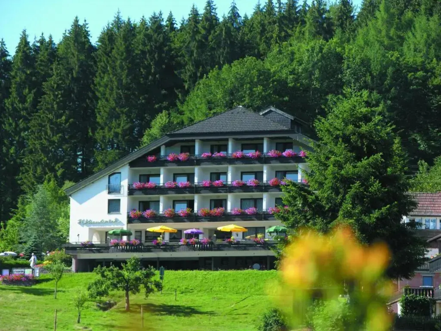 Pfeifles Hohenhotel