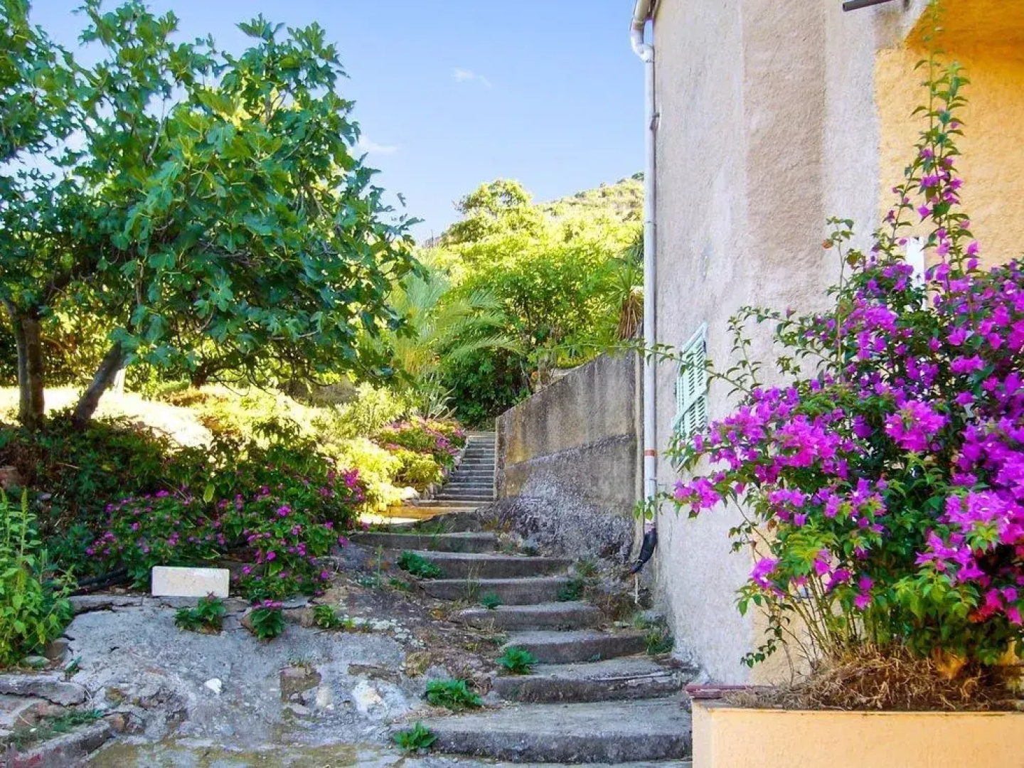 Apartment Ranocchietto