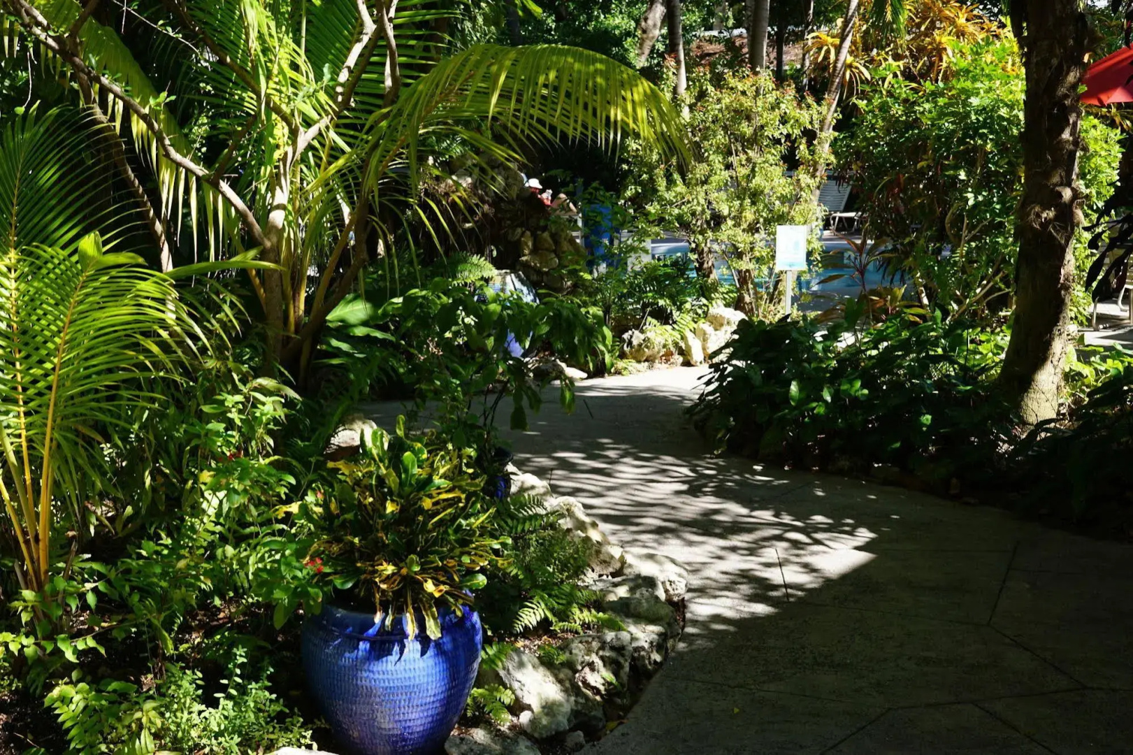 The Banyan Resort