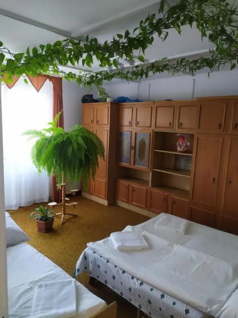 Balaton Homestay