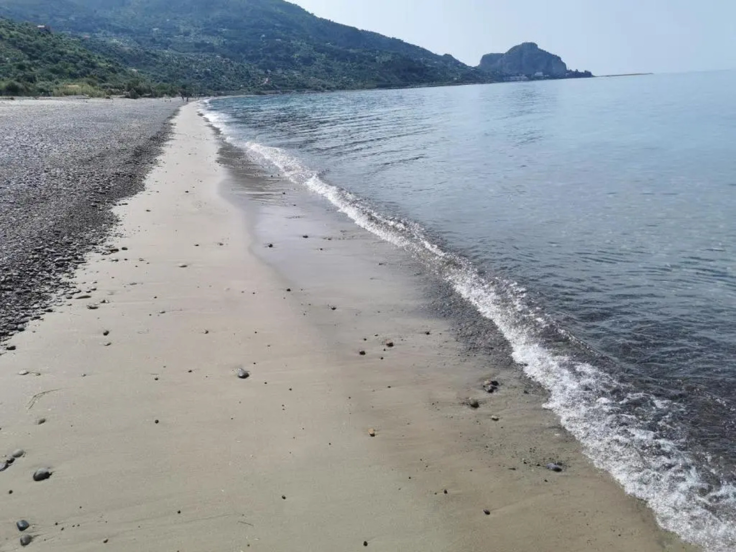 Sweet House of The Flowers